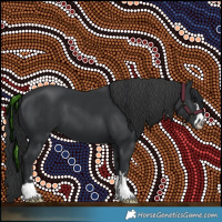 Horse Color:Black  and Black 