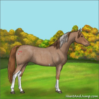 Horse Color:Red Roan Tobiano 