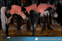 Horse Color:Gray Void Silver Classic Champagne Chinchilla Splash Tobiano 