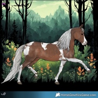 Horse Color:Silver Black Splash Tobiano 