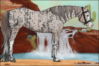 Horse Color:Black Sabino Splash Appaloosa  and Classic Champagne Sabino Splash Appaloosa 