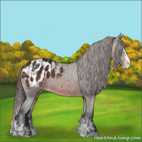 Horse Color:Bay Sabino Splash Appaloosa  and Brown Sabino Splash Appaloosa 