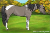 Horse Color:Grullo Tobiano 