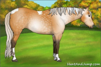 Horse Color:Gray Silver Buckskin Tobiano Rabicano