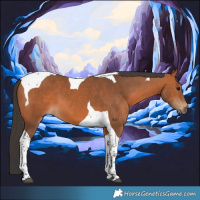 Horse Color:Bay Tobiano 