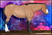 Horse Color:Bay Roan Rabicano 