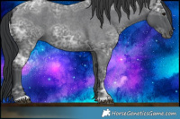Horse Color:Blue Ice Roan 