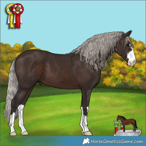 Horse Color:Silver Brown 
