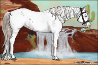 Horse Color:Liver Chestnut Sabino Splash Blanket  and Liver Chestnut Sabino Splash Blanket 