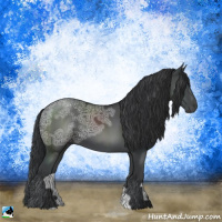 Horse Color:Black Ice 