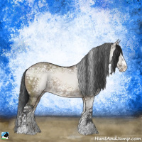 Horse Color:Brown Ice Dun Sabino Rabicano