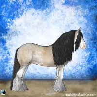 Horse Color:Brown Ice Dun Sabino Rabicano 