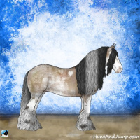 Horse Color:Liver Red Dun Ice Sabino Splash Rabicano