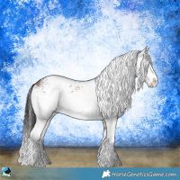 Horse Color:White Spotted Buckskin Dun Splash Rabicano 