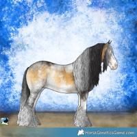 Horse Color:Buckskin Ice Onyx Sabino Splash Rabicano