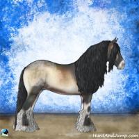Horse Color:Brown Ice Onyx Sabino Rabicano 