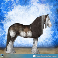 Horse Color:White Spotted Liver Red Onyx Ice Sabino Rabicano 