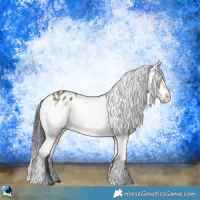 Horse Color:White Spotted Buckskin Dun Appaloosa Rabicano