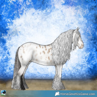 Horse Color:White Spotted Liver Red Dun Sabino Blanket Rabicano 