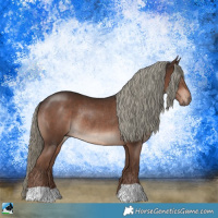 Horse Color:Liver Chestnut Mushroom Rabicano 