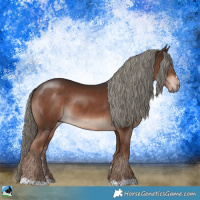 Horse Color:Liver Chestnut Mushroom Rabicano 