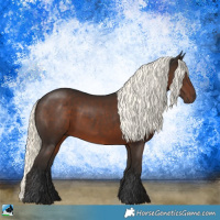 Horse Color:Liver Chestnut Mushroom Rabicano 