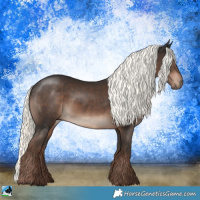 Horse Color:Liver Chestnut Mushroom Rabicano 