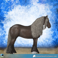 Horse Color:Liver Chestnut Mushroom Rabicano 
