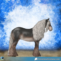 Horse Color:Liver Chestnut Mushroom Rabicano 