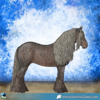 Horse Color:Liver Chestnut Ice Mushroom Rabicano 