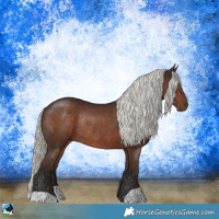 Horse Color:Liver Chestnut Mushroom Rabicano