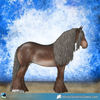 Horse Color:Liver Chestnut Mushroom Rabicano 