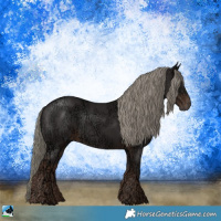Horse Color:Liver Chestnut Ice Mushroom Rabicano