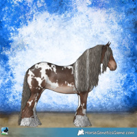 Horse Color:White Spotted Liver Chestnut Mushroom Rabicano 