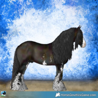 Horse Color:Midnight Bay Onyx Sabino