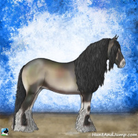 Horse Color:Blue Onyx 