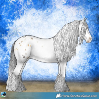 Horse Color:Buckskin Onyx Sabino Appaloosa 