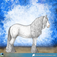 Horse Color:Brown Sabino Appaloosa 