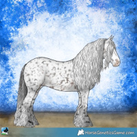 Horse Color:Brown Ice Sabino Appaloosa 