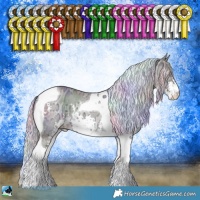 Horse Color:Nacre Chocolate Silver Brown Chinchilla Ice Sabino Tobiano