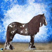 Horse Color:White Spotted Chocolate Black Chinchilla Ice Sabino 