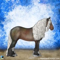 Horse Color:Liver Chestnut Mushroom 