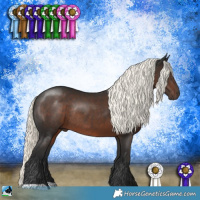 Horse Color:Liver Chestnut Mushroom Rabicano 