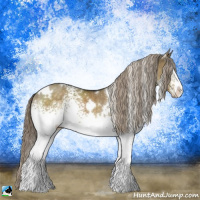 Horse Color:White Spotted Chocolate Palomino Dun Rabicano