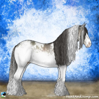 Horse Color:White Spotted Liver Red Dun 