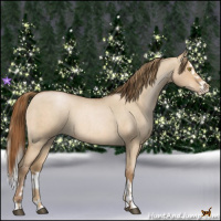 Horse Color:Bay Roan Pearl Dun  and Grullo Roan Pearl Splash 