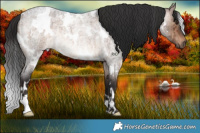 Horse Color:White Spotted Brown Roan Dun Rabicano Brindle 