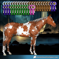 Horse Color:White Spotted Silver Bay 