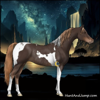 Horse Color:Liver Chestnut Tobiano Rabicano