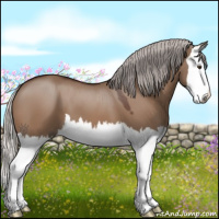 Horse Color:Silver Brown Dun Sabino Splash 